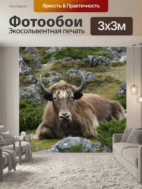 Фотообои Яка