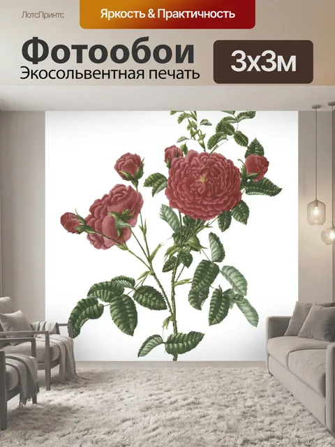 Фотообои Розы