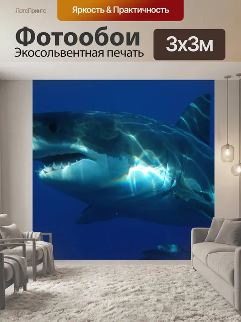 Фотообои Акула