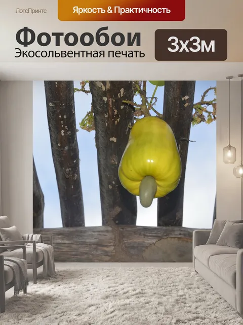 Фотообои Коробка