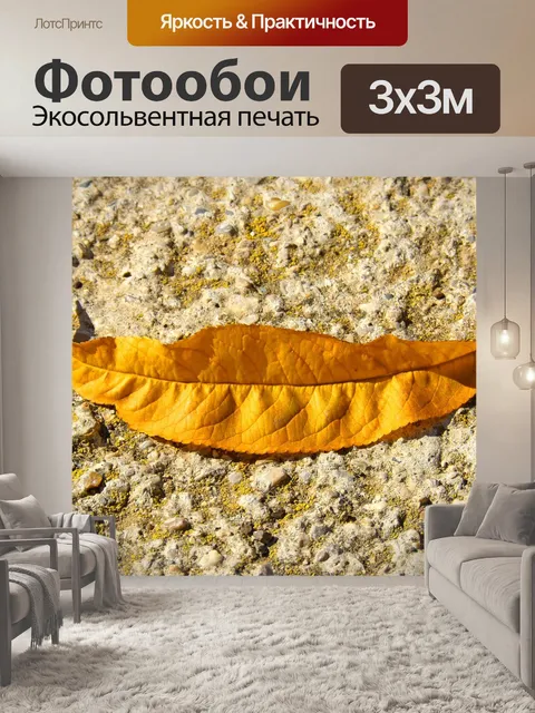 Фотообои Лист
