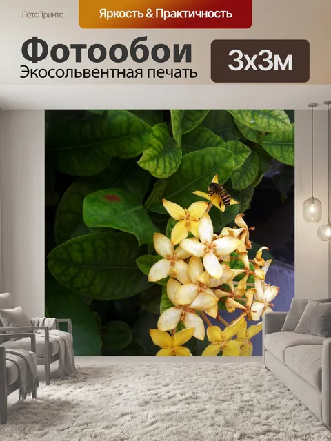 Фотообои Желтый цветок и пчела