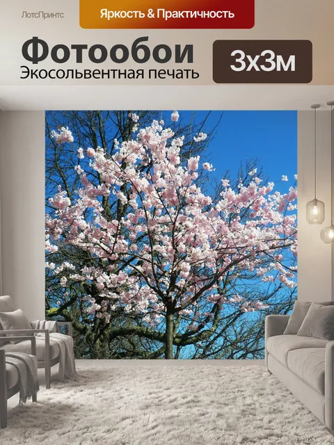 Фотообои Париж