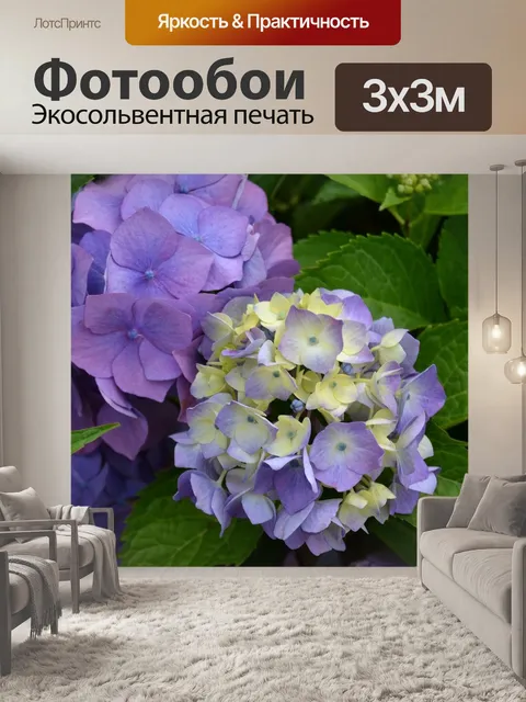 Фотообои Гортензия