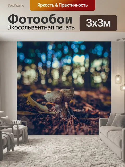 Фотообои Гриб