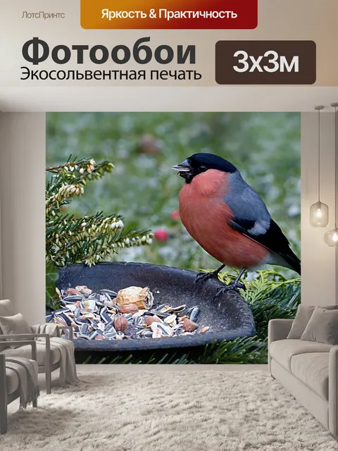 Фотообои Птица