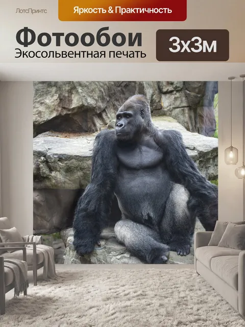 Фотообои горилла