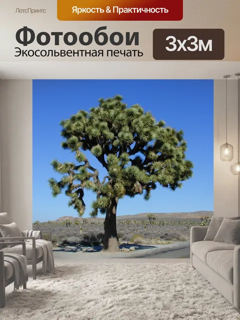 Фотообои Джошуа
