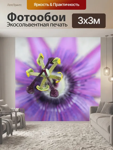 Фотообои Макрос