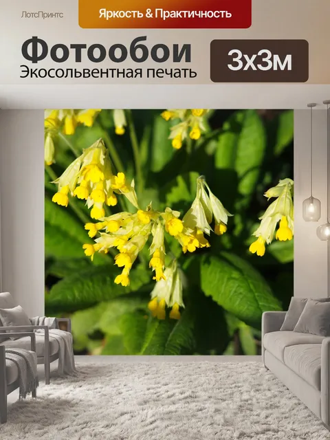 Фотообои Жёлтые цветы