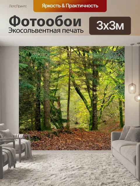 Фотообои Лесной дороге