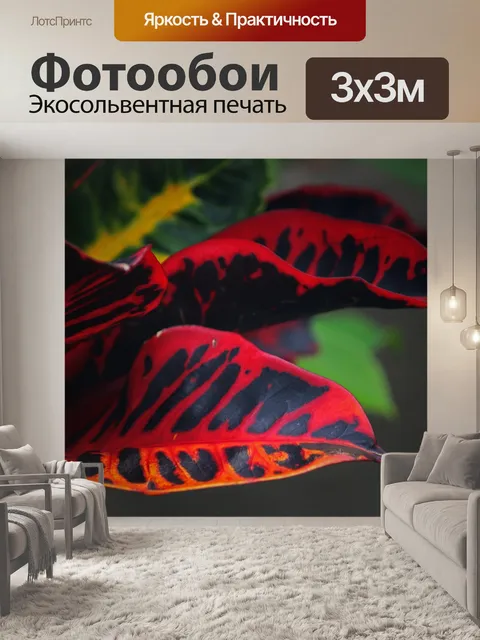 Фотообои темные листья с ярко-красной маркировкой