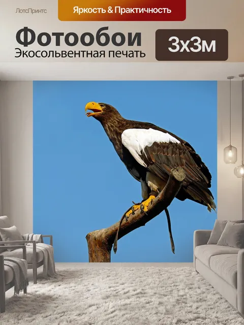 Фотообои Гигантский орел