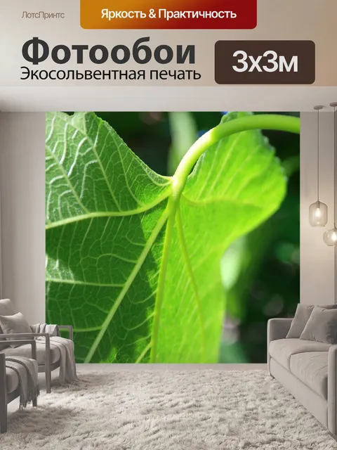 Фотообои фиговый листок крупным планом