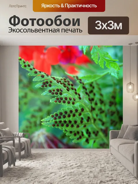 Фотообои листья папоротника со спорами