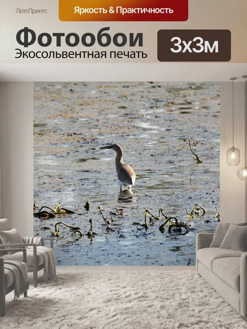 Фотообои Водно-болотное угодье