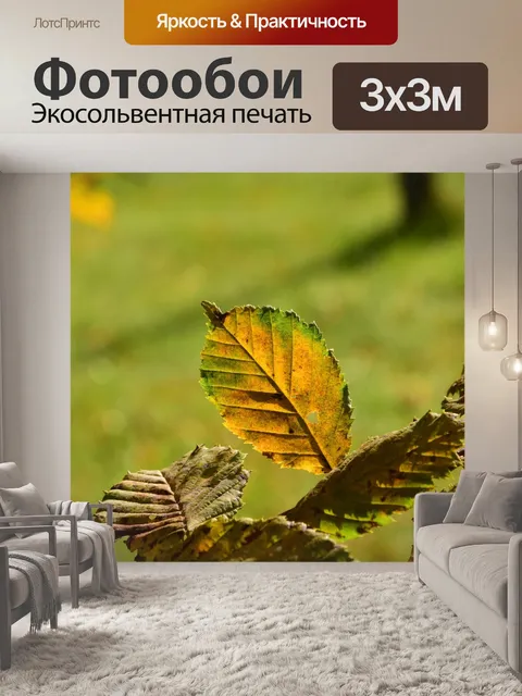 Фотообои Листья