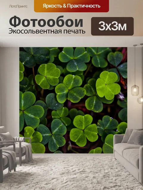 Фотообои Вертикальный кливер