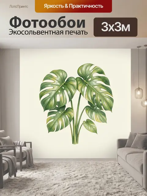 Фотообои Тропическая монстера с листьями