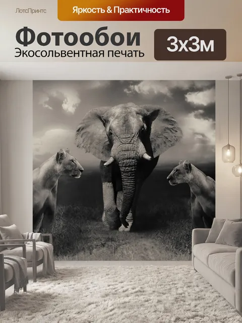Фотообои Львицы