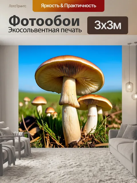 Фотообои грибы шампиньоны, растущие в профиль на открытой местности, с ярким синим небом на фоне
