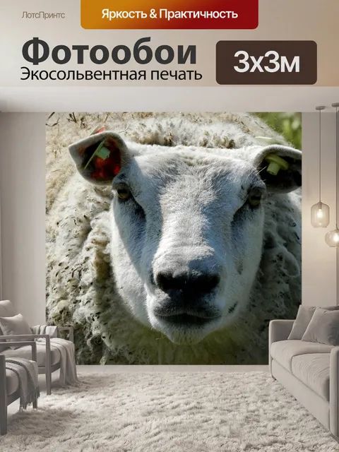 Фотообои Крупным планом