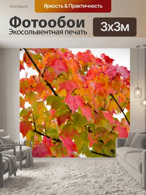 Фотообои Осенний вид