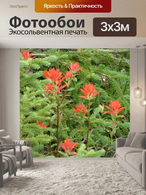 Фотообои Индийский цветок кисти