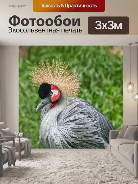 Фотообои Венценосный журавль