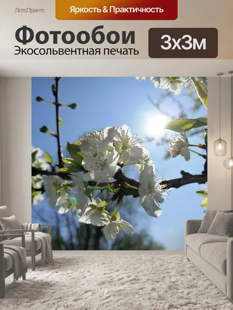 Фотообои Цветы