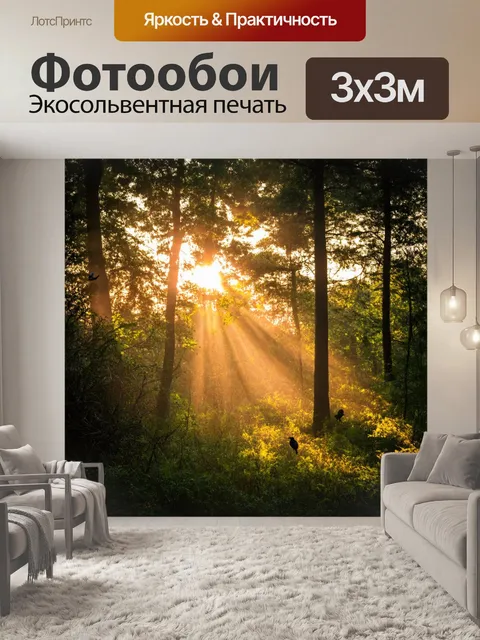 Фотообои закат в уединенном лесу