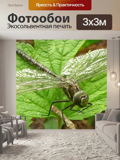 Фотообои Большая стрекоза