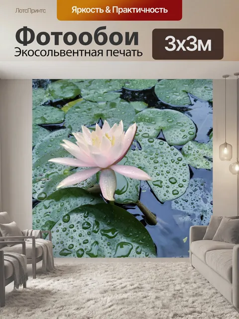 Фотообои Лотос в пруду 5