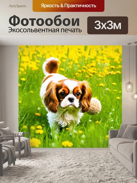 Фотообои настоящая дружба: кавалер-король чарльз спаниель