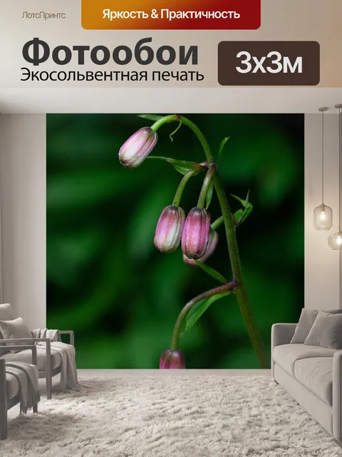 Фотообои Турка шапка лилии