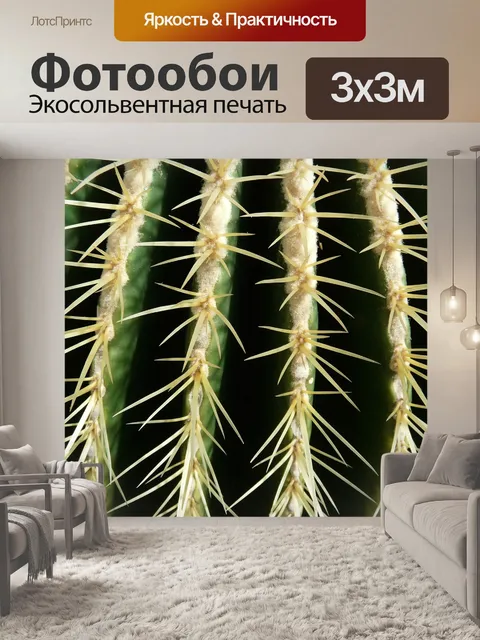 Фотообои Золотой шар кактус