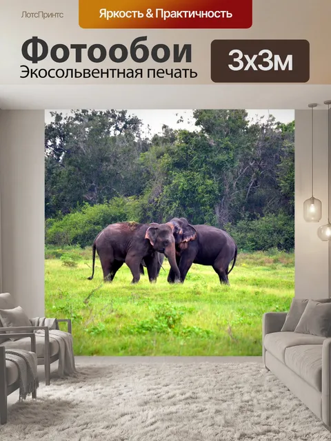 Фотообои Слоны