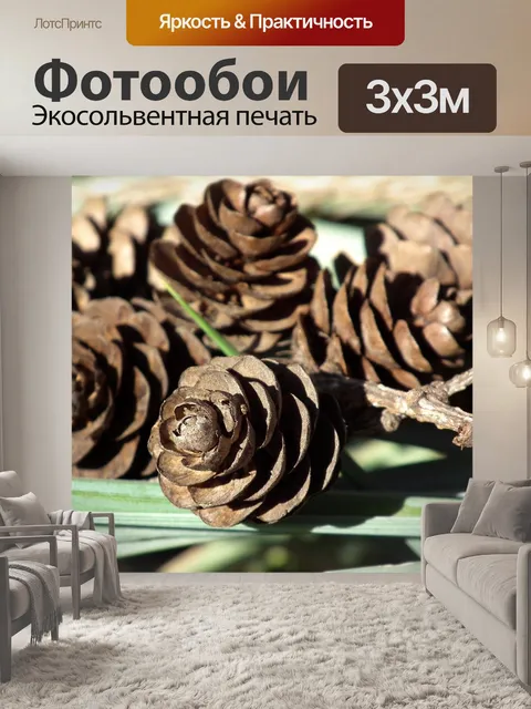 Фотообои Шишки