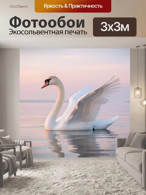 Фотообои Белый лебедь на воде