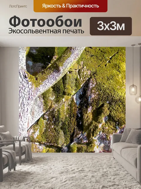 Фотообои Мосс