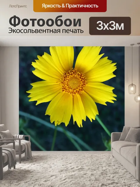 Фотообои ярко-желтая ромашка