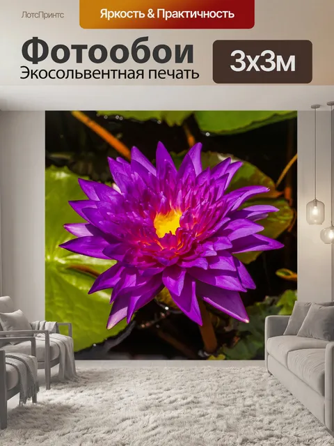 Фотообои Красивый цветок лотоса кувшинки