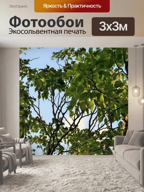 Фотообои японский изюм, приносящее плод