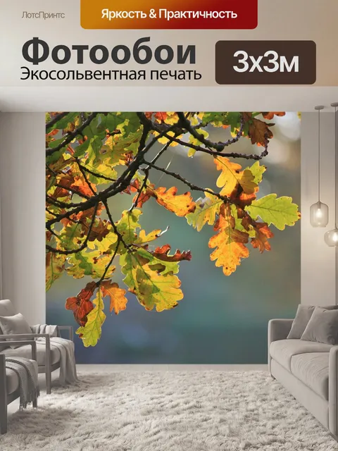 Фотообои Дуб