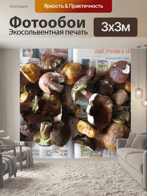 Фотообои Грибной улов
