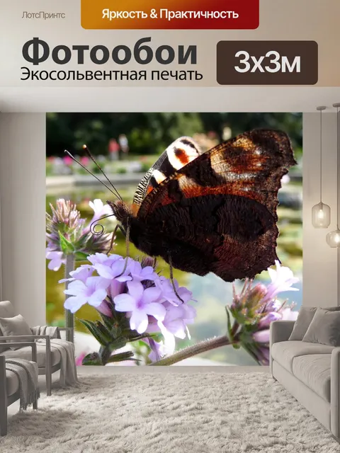 Фотообои Бабочка