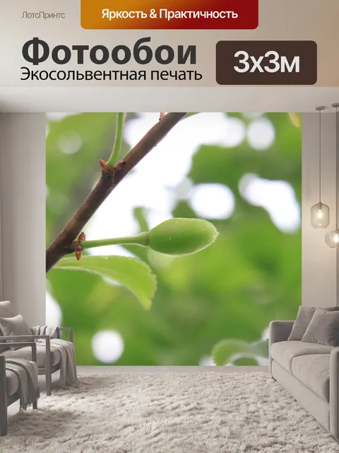 Фотообои Зеленый