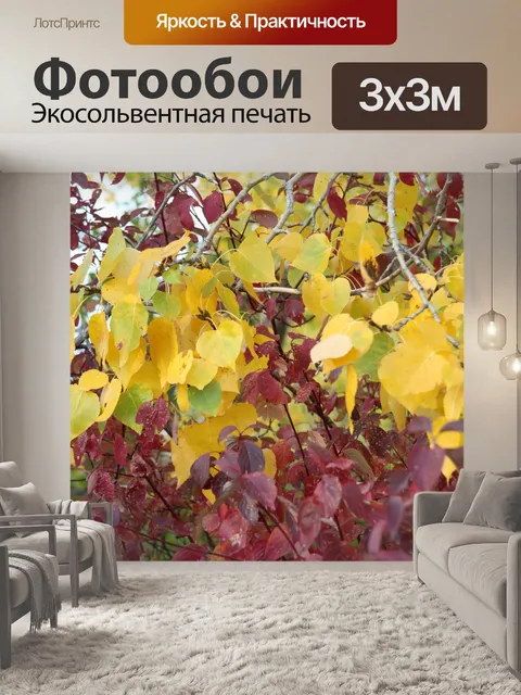 Фотообои Красочные осенние листья