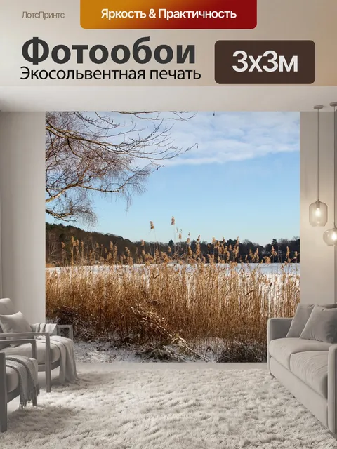 Фотообои Зима
