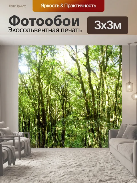 Фотообои Природа тропический лес дои Интанон наци